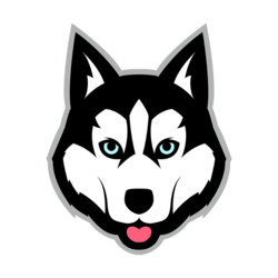 Balto Token