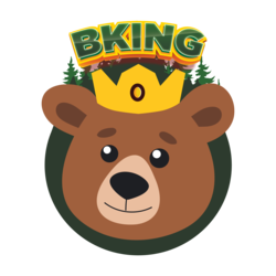 BKING Finance
