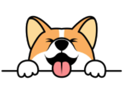 Corgi doge