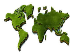 evergreen Token