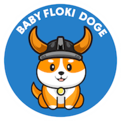 BabyFlokiDoge