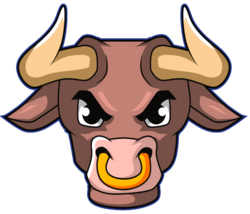 Matador Token