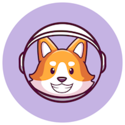 Galaxy Doge