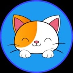 Onigiri Kitty [0x12ef97ebE8a51BB7Cff3E1799C8F7936Db9D13d3]