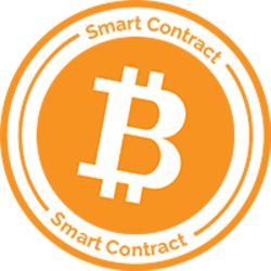 Bitcoin Networks