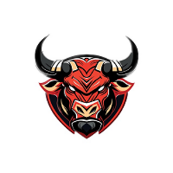 BULL RUN