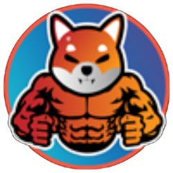 Buff Shiba Inu