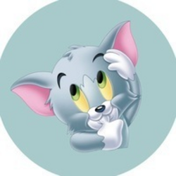 Baby Tomcat [0xbfC89d2134053D15d277a01c2A1A1980E0A5dbCd]