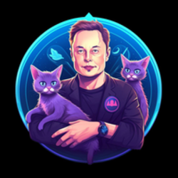 Elon Cat