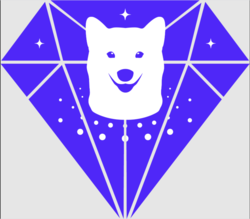 SPACExDOGE