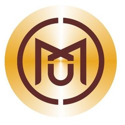 MXM Token