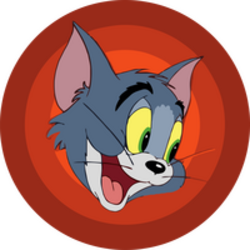 TomCat