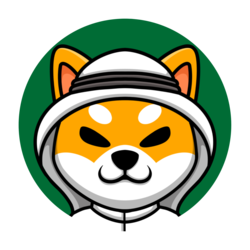 SAUDI SHIBA INU