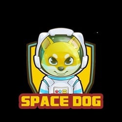 Space dog [0xD034c1F3cD74094fe966A0f25c9E5a21A21eb487]