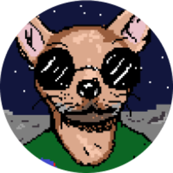 Chihuahua In Space