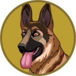 Berger Doge Coin