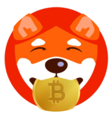 SafeShiba