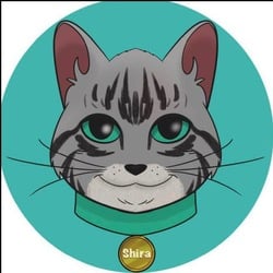 Shira Cat [0x18D9D0d6e42BB52a13236F4fA33d9D2485D9015a]